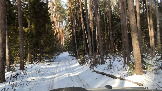 Трофи-лайф фото 4х4 покатушка  Мещерские Скитания. Шатура - Петушки 22.02.2025 -  (8).jpg