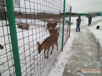 Фото Трофи-лайф 4х4 экспедиция Муром-ГусьХрустальный 4-7.01.18 -123.jpg