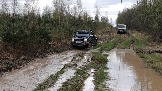 20250426_121316.jpg