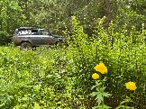 IMG_8836.JPG