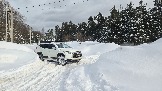 20260221_133706.jpg
