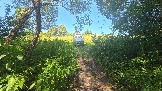 20260801_123908.jpg