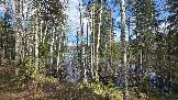 20260502_124110.jpg