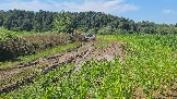 20260801_135356.jpg
