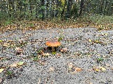 IMG_5683.JPG