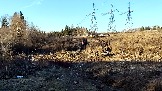 Трофи-лайф фото 4х4 покатушка Дмитровская Игрушка 08.03.2025 - (95).jpg