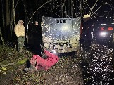 IMG_7004.JPG