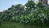 20260530_195420.jpg