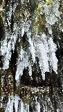 2FF93AA1-6C83-432B-B4E3-FEE322383818.jpeg