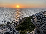 IMG_9412.jpeg