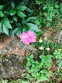 IMG_20260613_140148_913.jpg