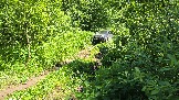 20260606_124055.jpg