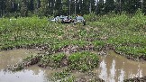 20260510_141931.jpg