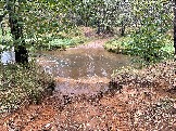 IMG_5606.JPG