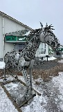 IMG_1027.jpg