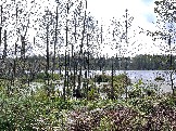IMG_5608.JPG