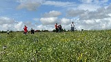 IMG_1289.jpg