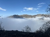 IMG_8544.JPEG