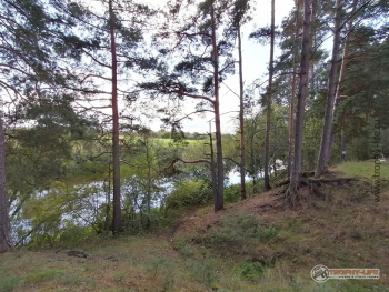 Фото Трофи-лайф 4х4 покатушка Покровский Пряник 04.09.21 - 270.jpg