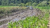 20260801_135043.jpg