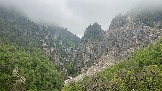 IMG_8525.JPEG