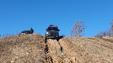 20250316_121729.jpg