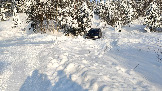 Трофи-лайф фото 4х4 покатушка Каширский зигзаг 24.01.2026 - (81).jpg