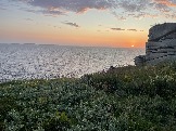 IMG_9424.jpeg