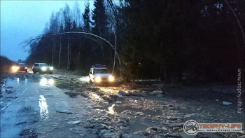 2020-03-14-sever-21.jpg