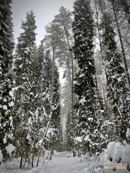 Фото Трофи-лайф 4х4 покатушка Юрьев День 23.01.21 -35.jpg