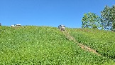 20260606_132323.jpg