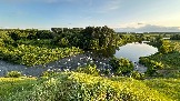 IMG_1380.jpg