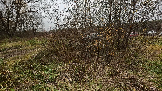 Трофи-лайф фото 4х4 День Рождения Трофи-лайф 17 лет Колонна 2 26.10.2024 -   (120).png