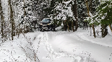 Трофи-лайф фото 4х4 покатушка нахабинские выселки 27.01.2024 - (14).png