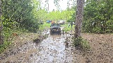 20260510_113209.jpg