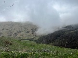 IMG_8457.JPEG