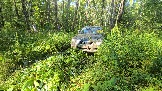 20260801_161050.jpg