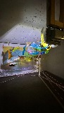IMG_1090.jpg