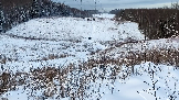 Трофи-лайф фото 4х4 покатушка Рогачёвские Сокровища 14.12.2024 - (98).png