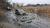 20250315_111805.jpg