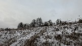 Трофи-лайф фото 4х4 покатушка Школа 4х4 16.02.2025 -  (263).jpg