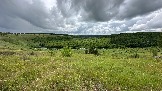 IMG_1201.jpg