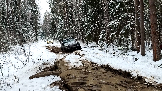 Трофи-лайф фото 4х4 покатушка Дмитрвская Игрушка 07.01.2025 -  (11).png