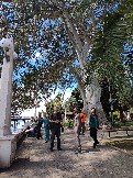 2026-05-07 12-29-04.JPG