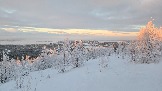 20251122_113902.jpg
