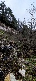 IMG_20231105_112229.jpg
