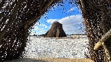 IMG_1447.jpg