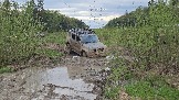 20260510_164632.jpg
