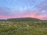 IMG_9429.jpeg