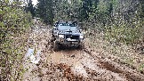 20250426_132006.jpg